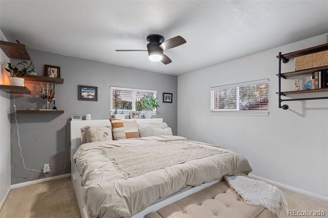 26095 Columbine Trail
