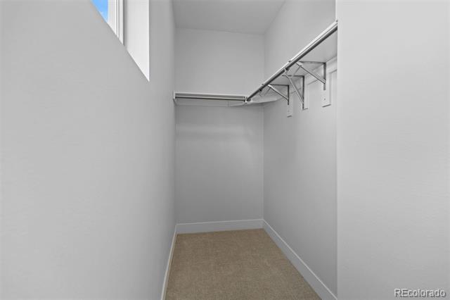 447 Galapago Street
