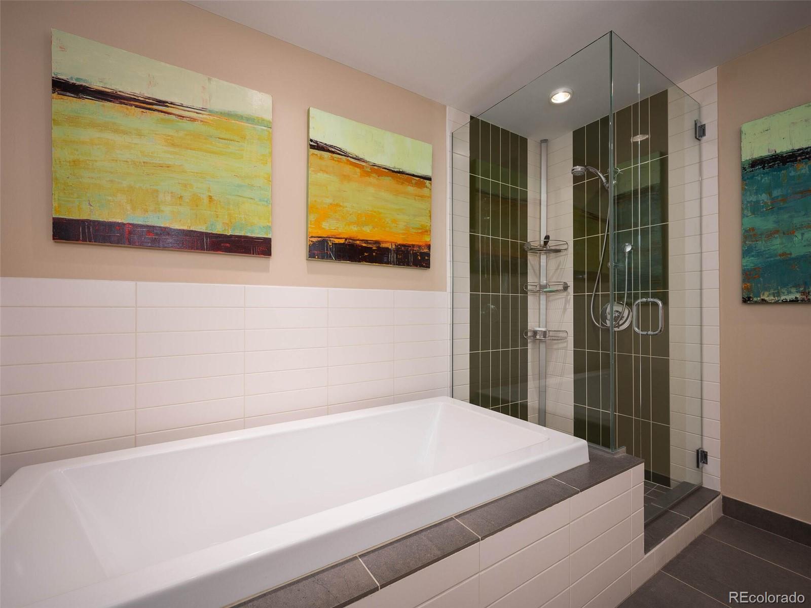 1620 Little Raven Street Unit: 703
