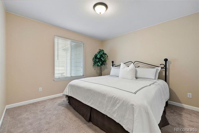 1668 Rosemary Drive