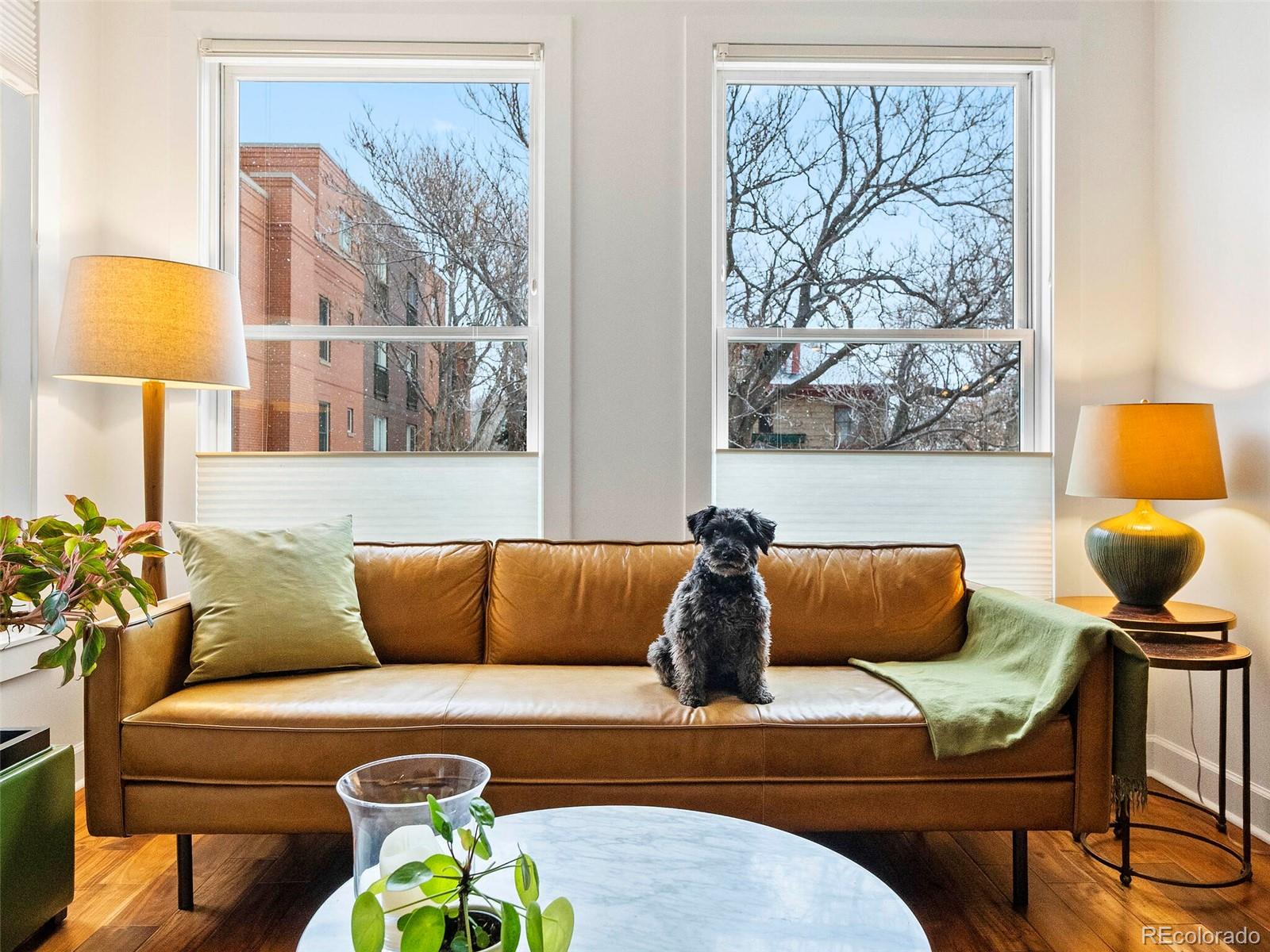 1630 Clarkson Street Unit: 202