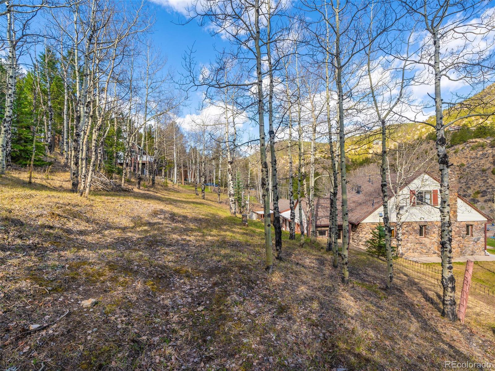167 Buckskin Trail