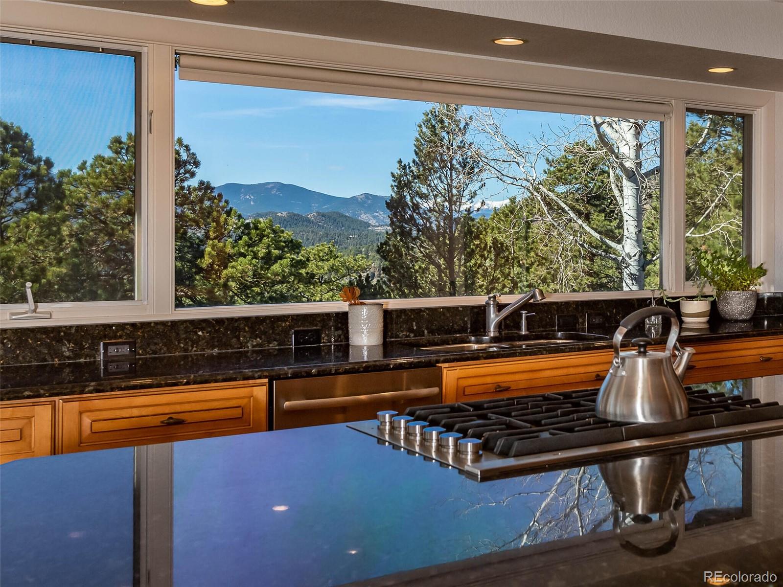 1713 Sand Lily Drive