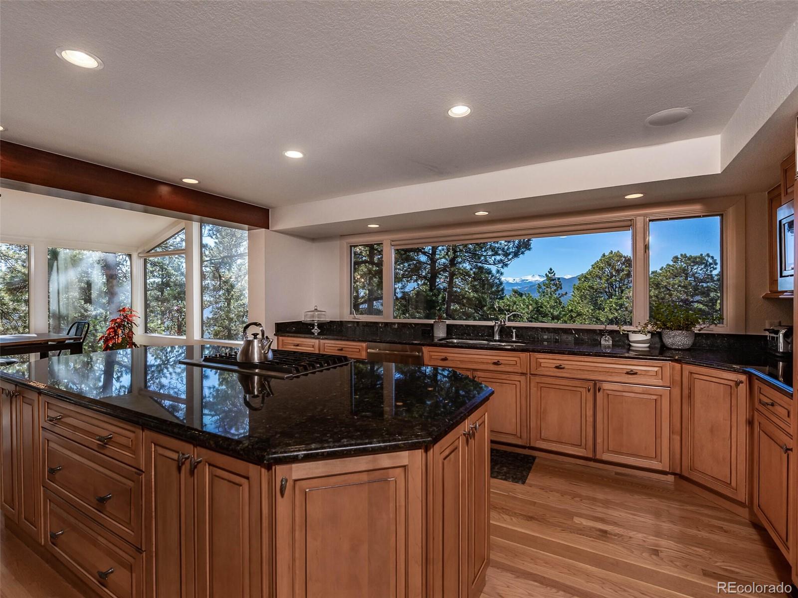1713 Sand Lily Drive