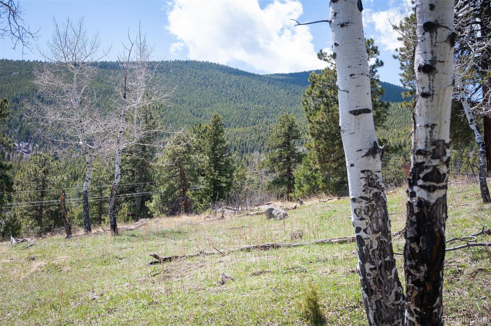 TBD Pine Valley Road