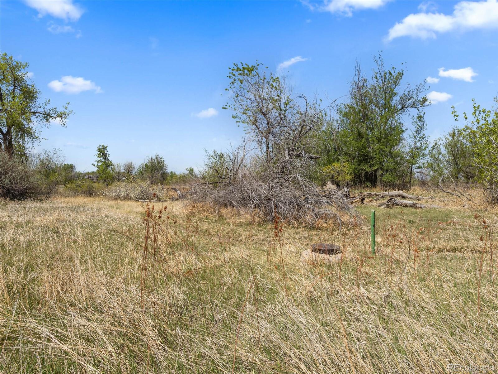 2374 Ranch Drive