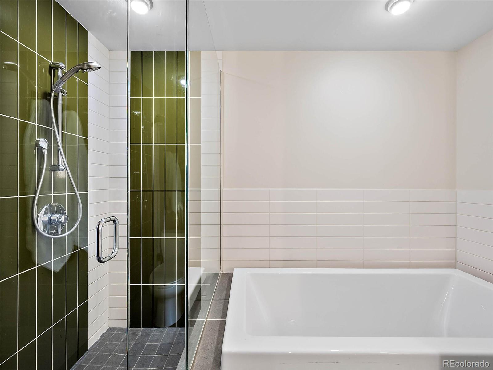 1620 Little Raven Street Unit: 406