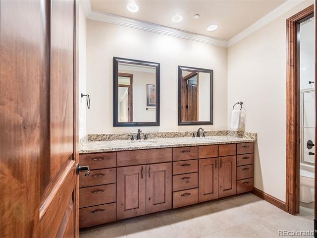 202 Saratoga Vein Court