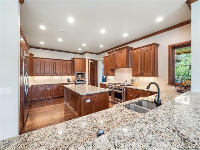 202 Saratoga Vein Court