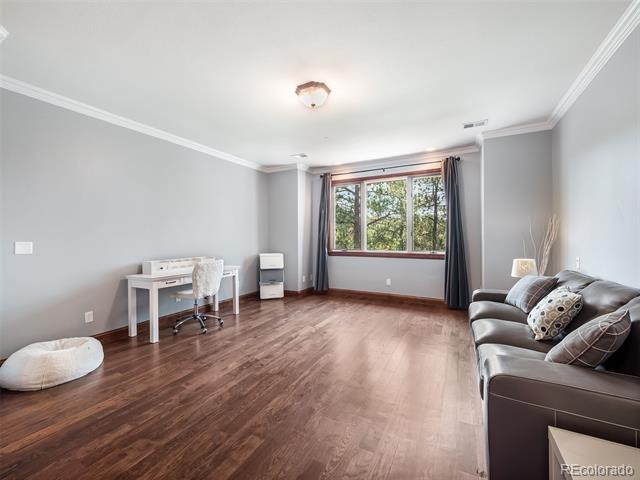 202 Saratoga Vein Court