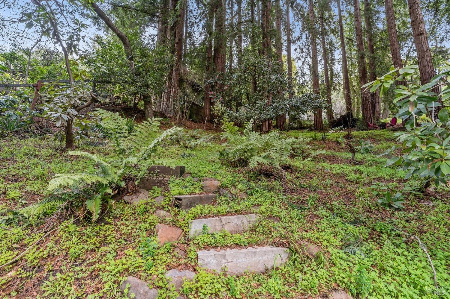 316 W. Blithedale Ave