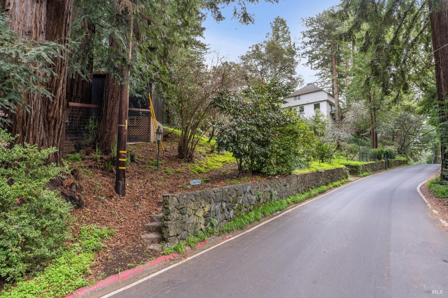 316 W. Blithedale Ave