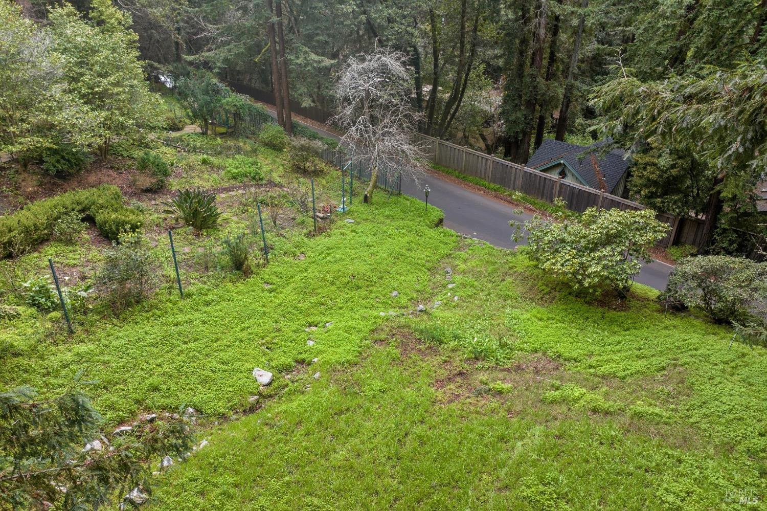 316 W. Blithedale Ave