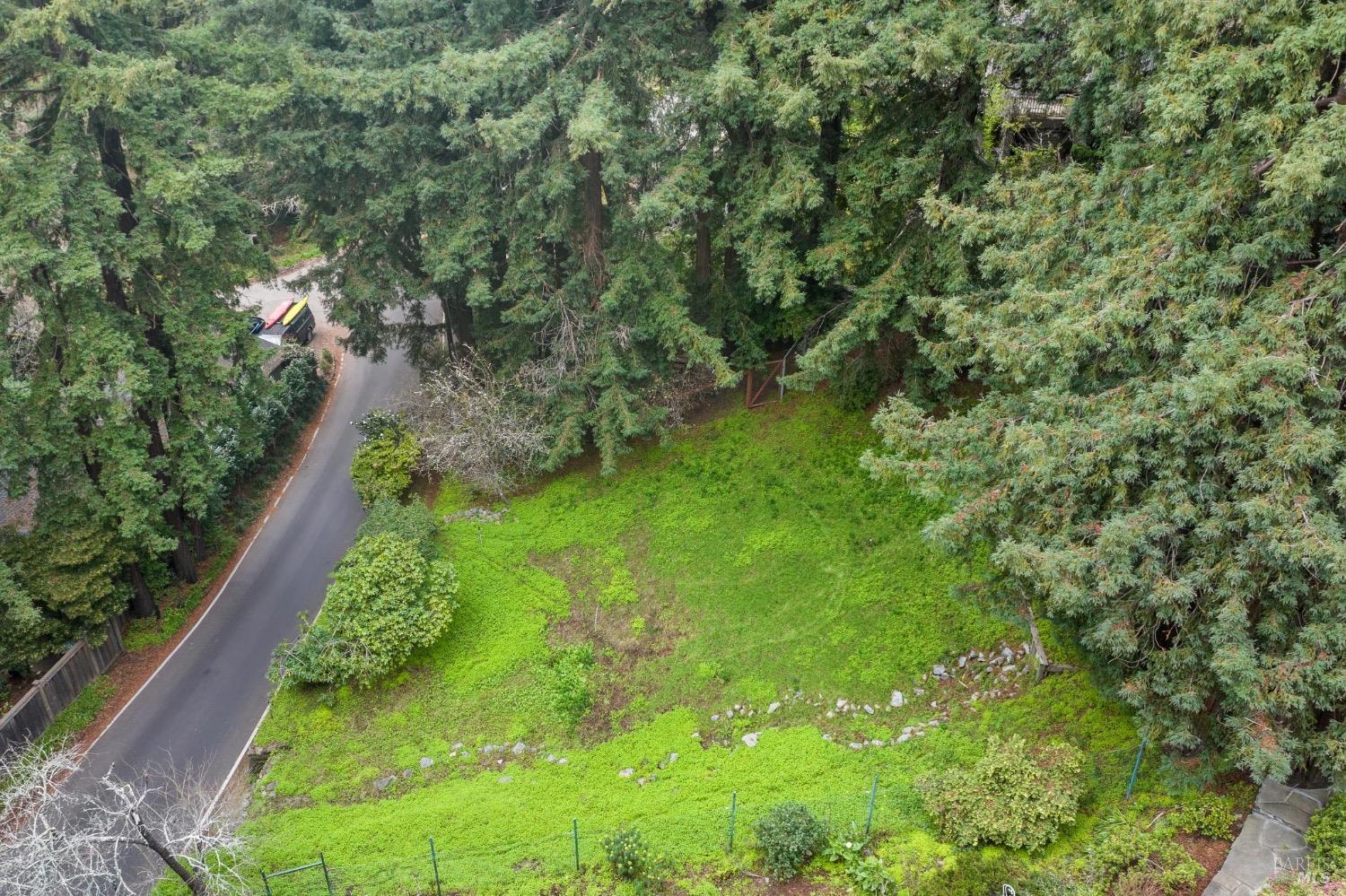 316 W. Blithedale Ave