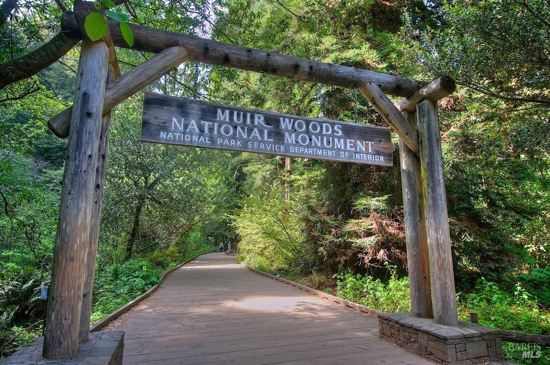 84 Eucalyptus Knoll St