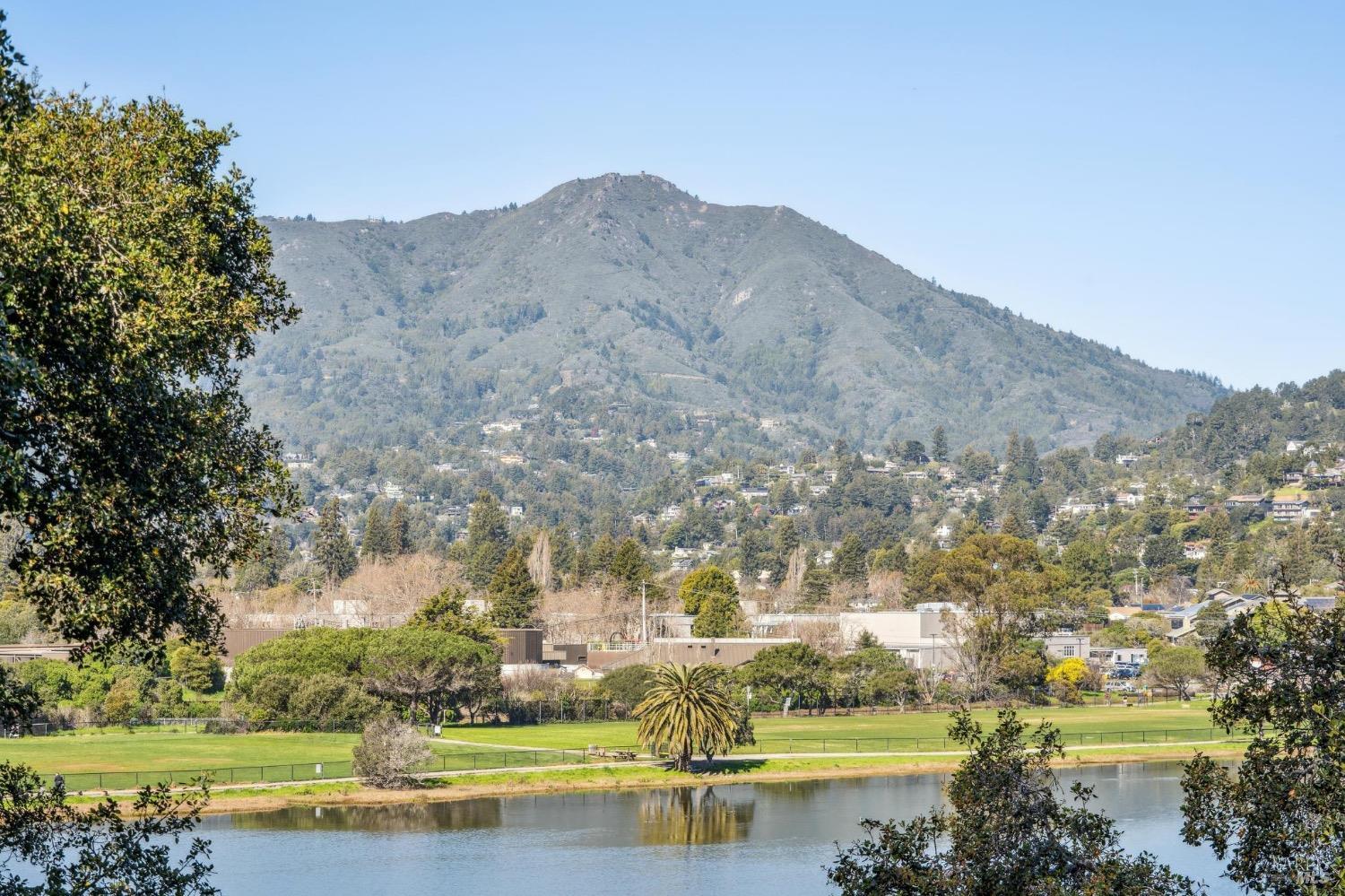 84 Eucalyptus Knoll St