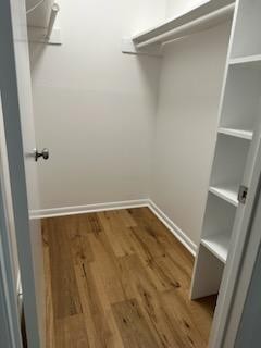 425 Summit Ridge Pl
