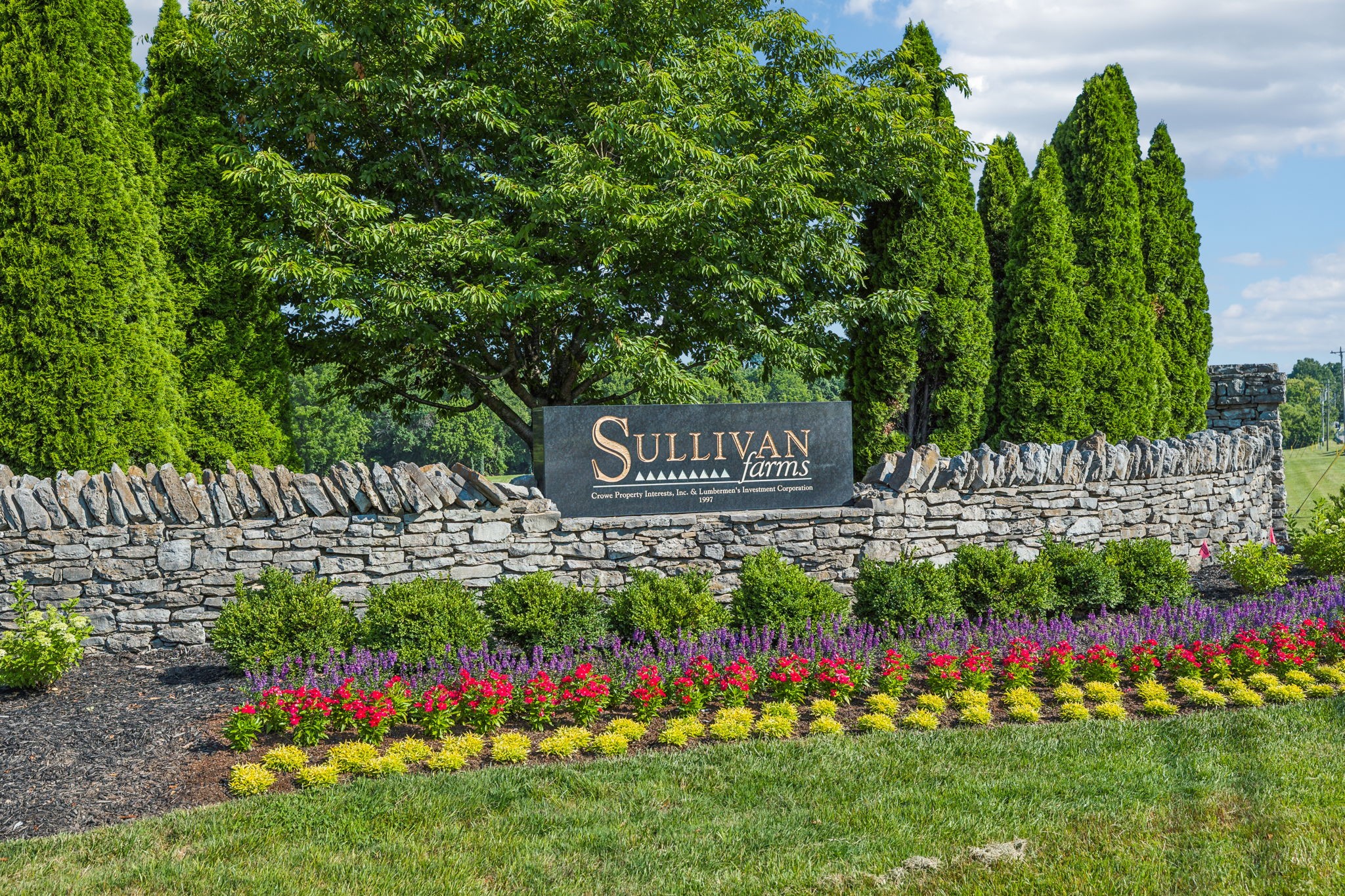 404 William Wallace Dr