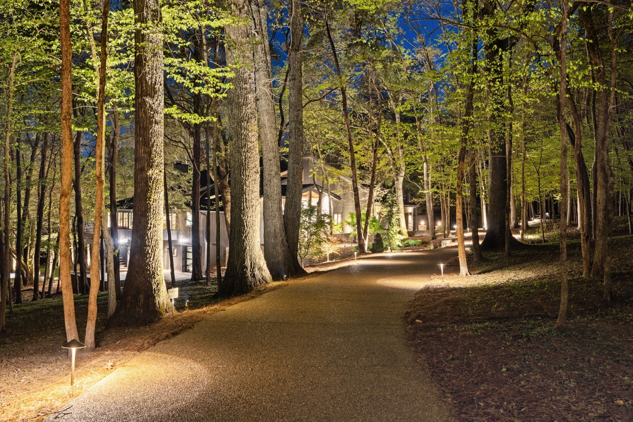 1006 Scramblers Knob