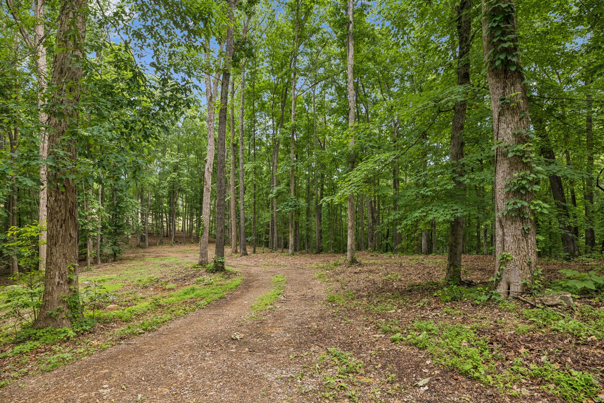 5610 Parker Branch Trl
