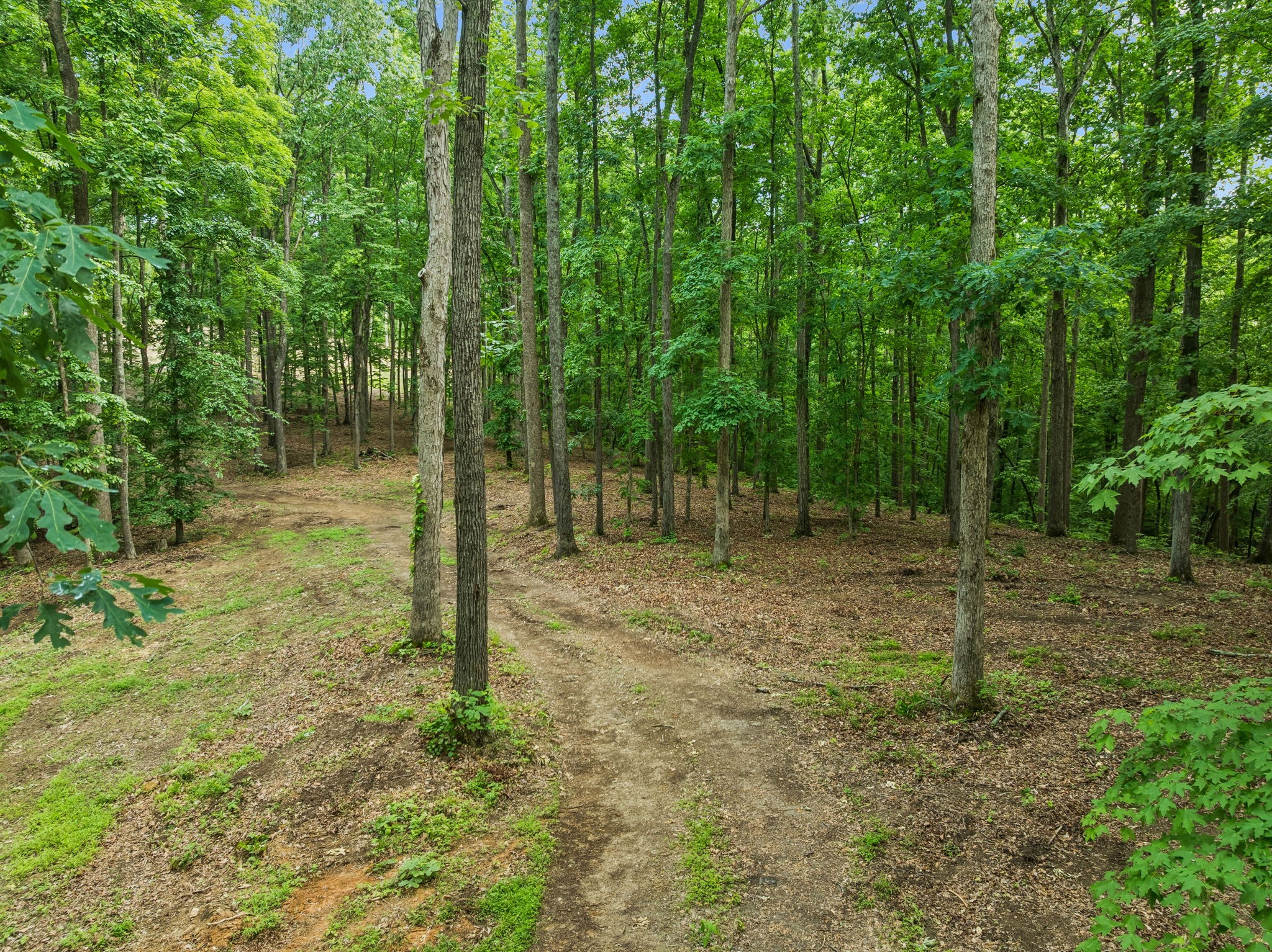5610 Parker Branch Trl