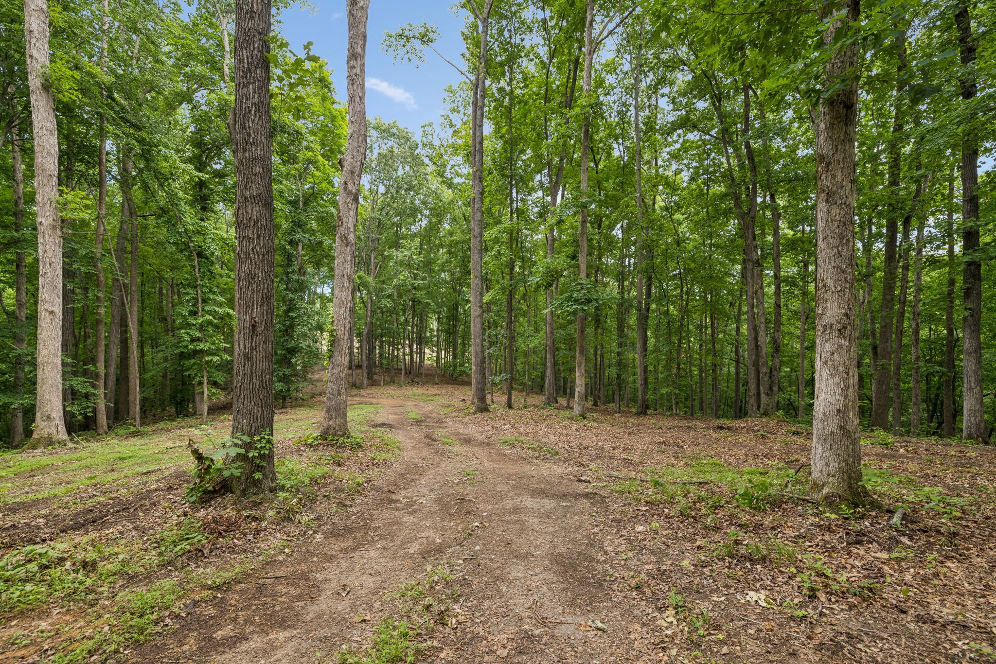 5610 Parker Branch Trl