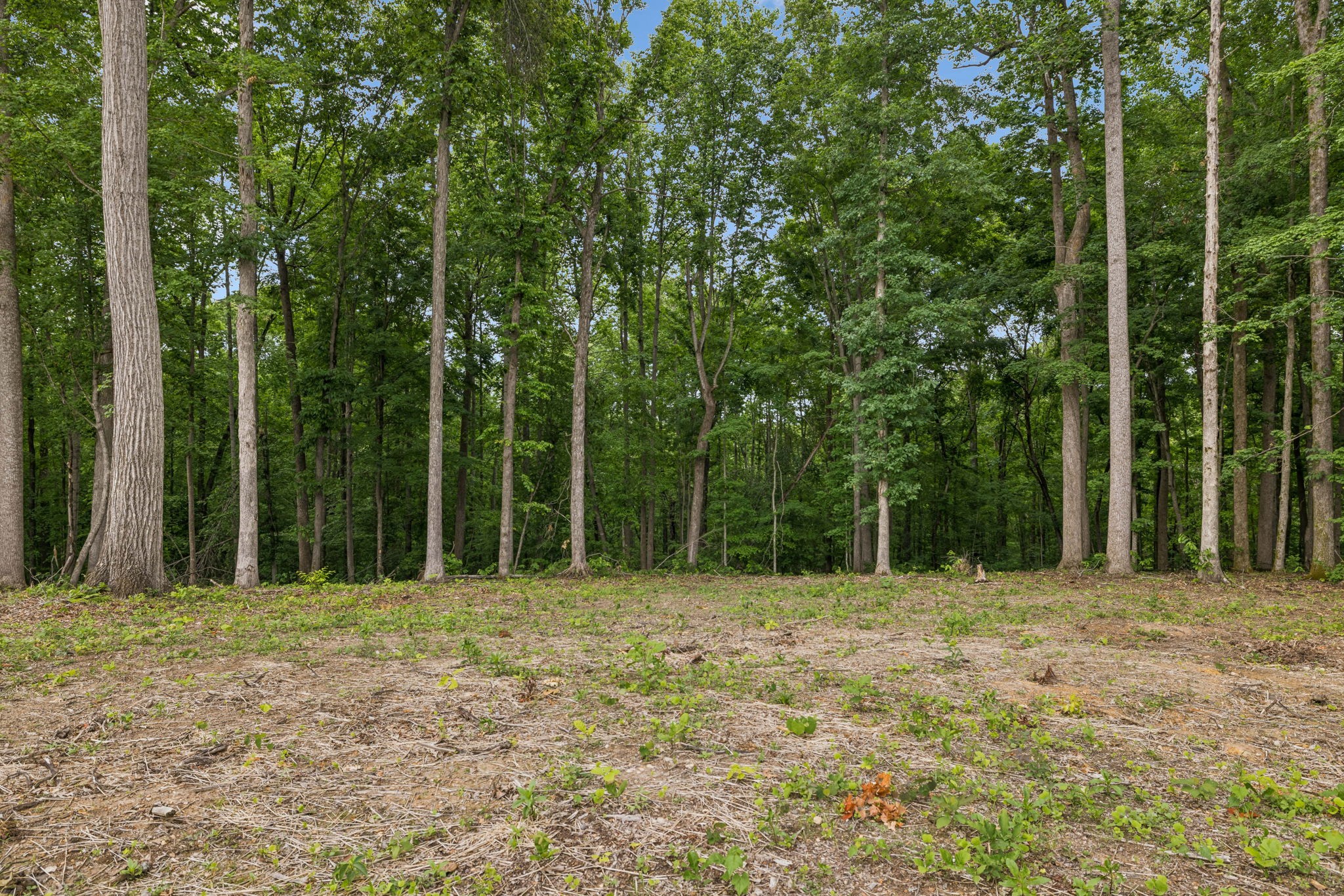 5610 Parker Branch Trl