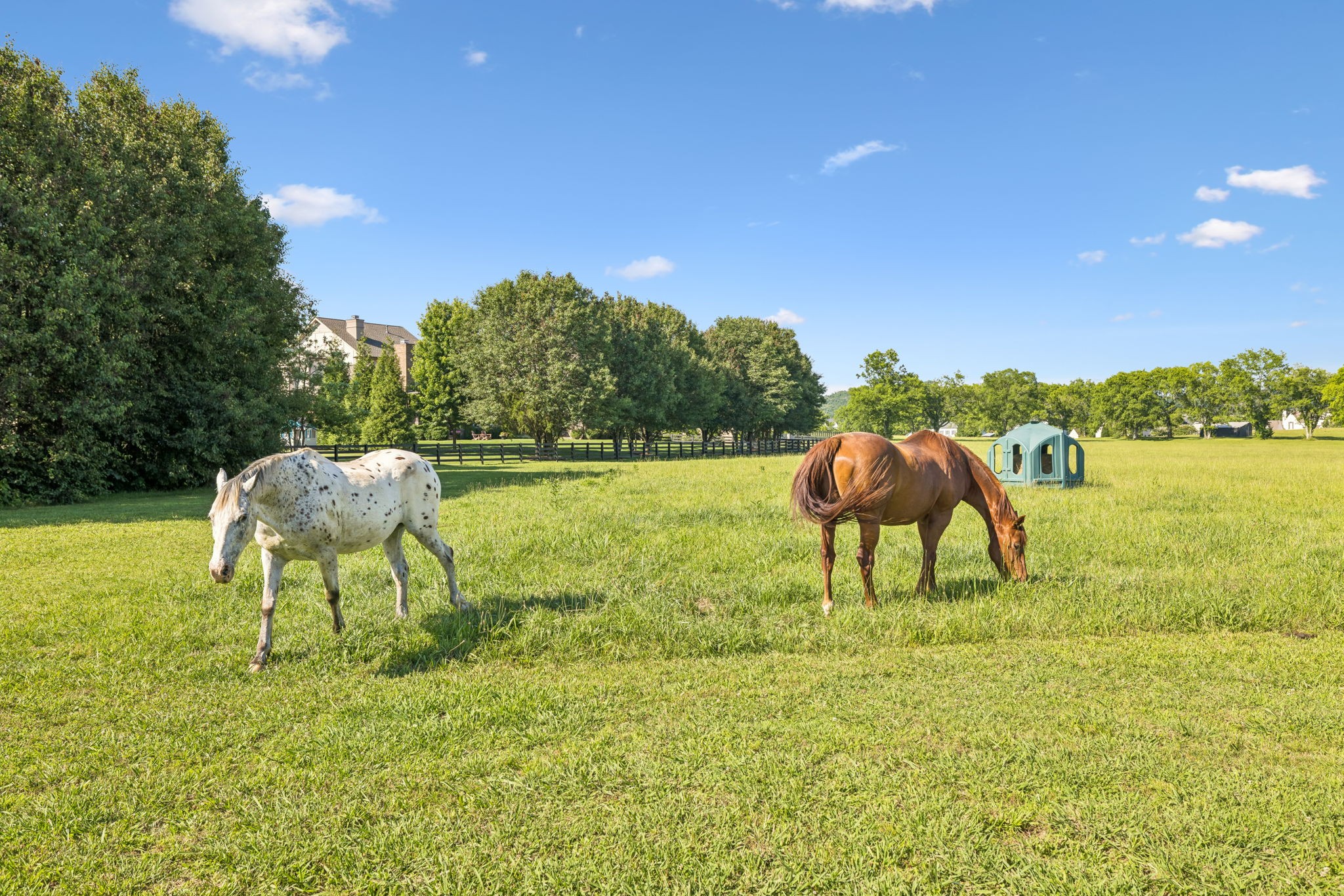 5017 Native Pony Trl