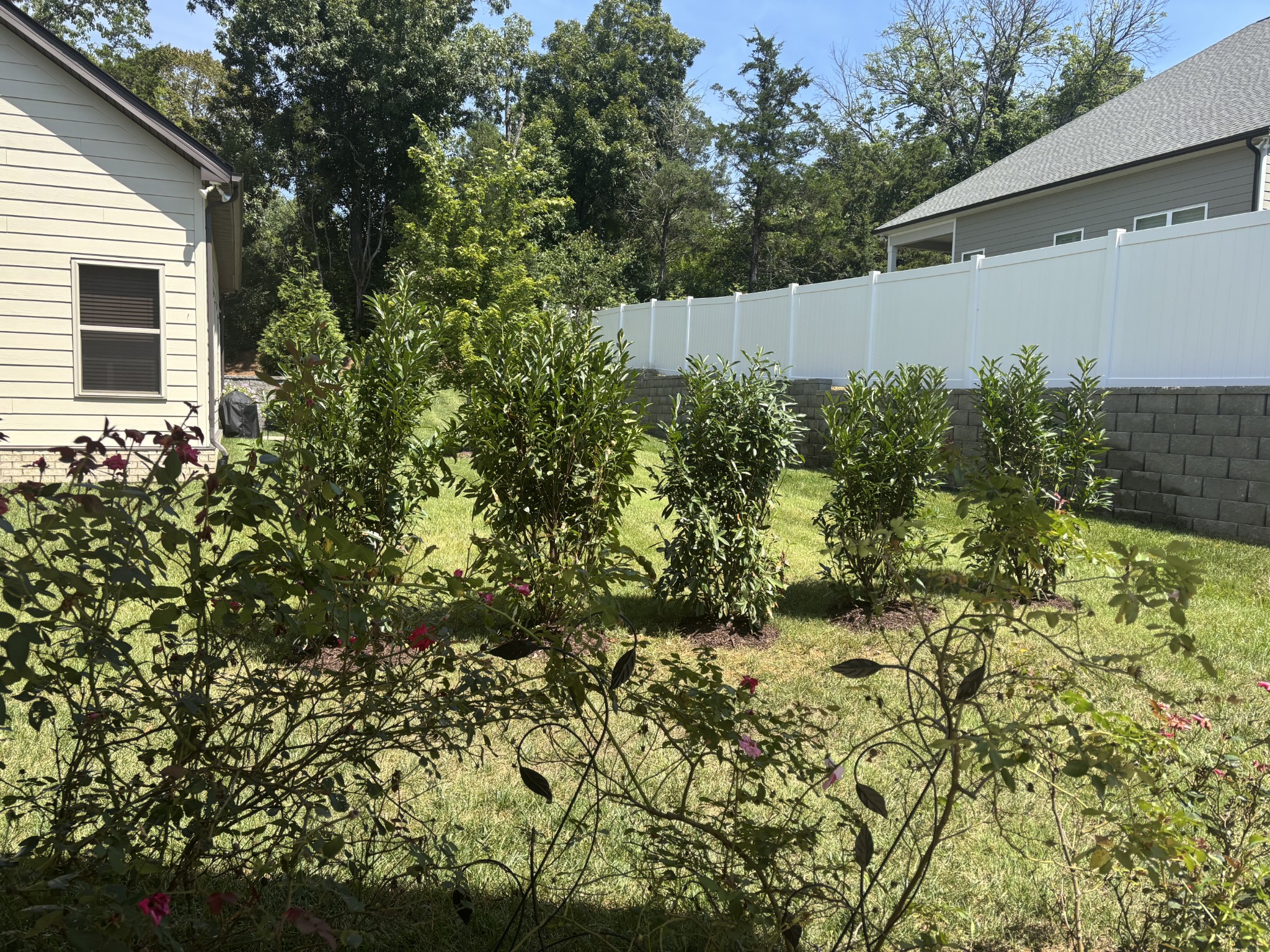 904 Chick Ct