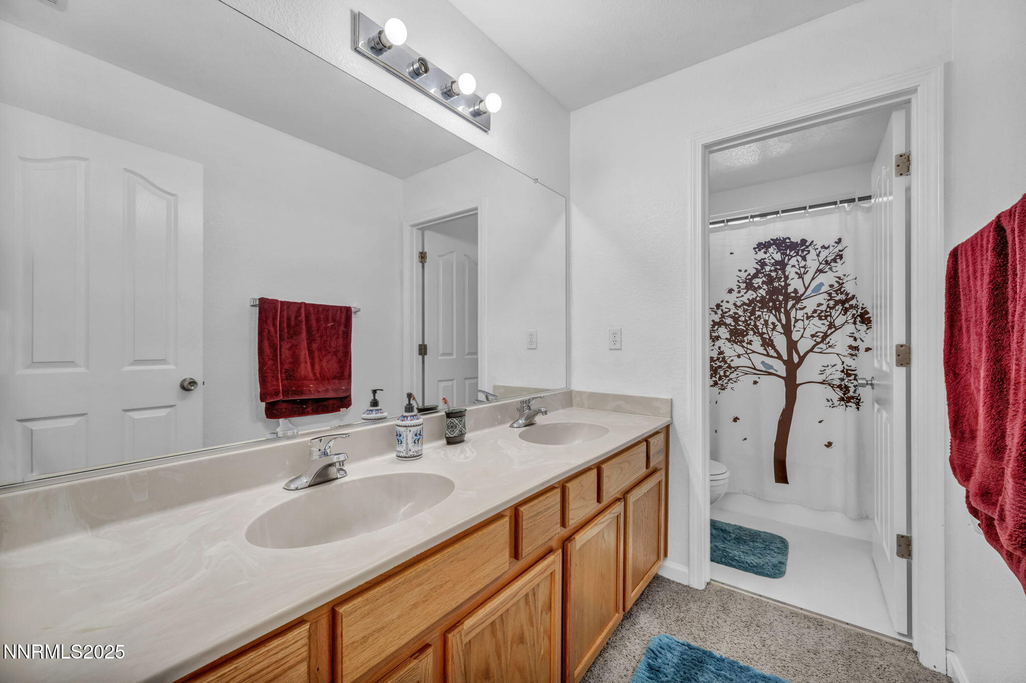 2479 Napoli Drive
