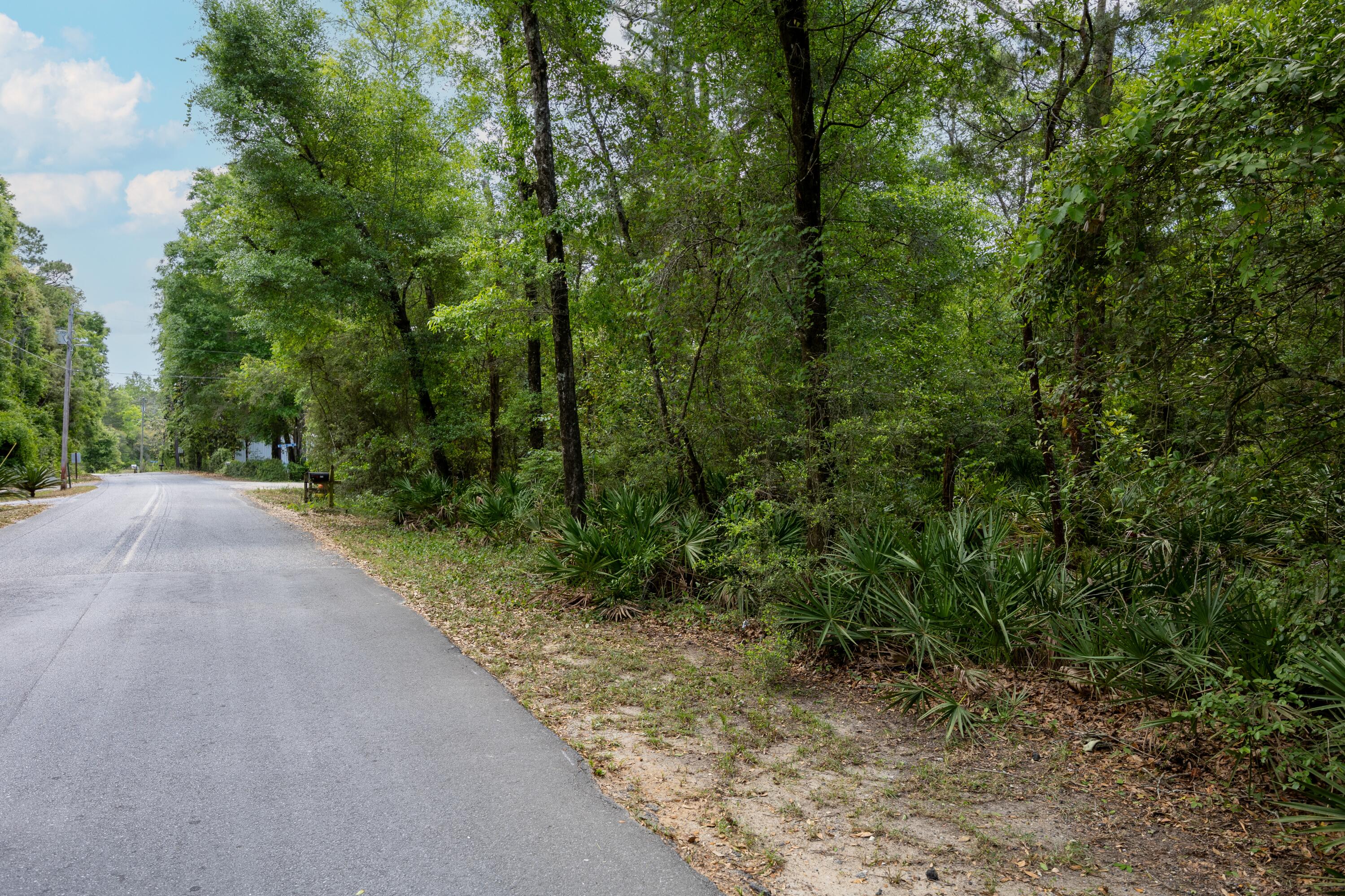 Lot X Piney Point Road