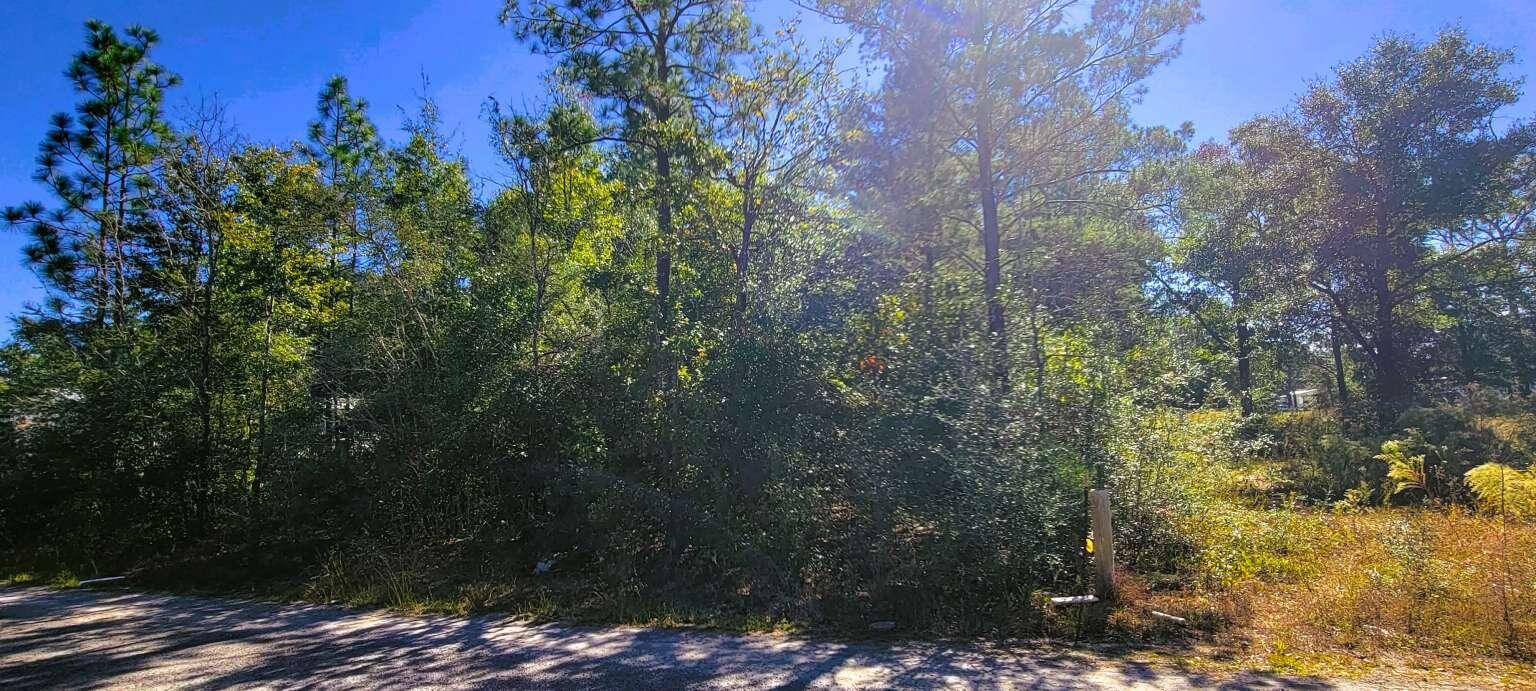 0 Rembrandt Circle, DeFuniak Springs