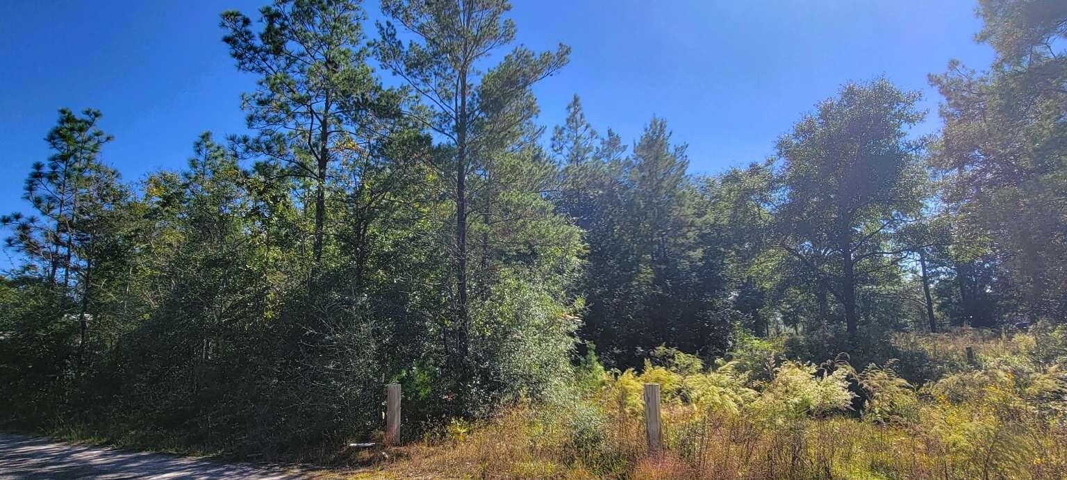 0 Rembrandt Circle, DeFuniak Springs