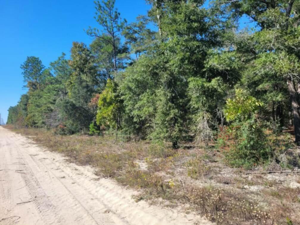 Lot 1 Blk 10 Golden Rod Drive, DeFuniak Springs