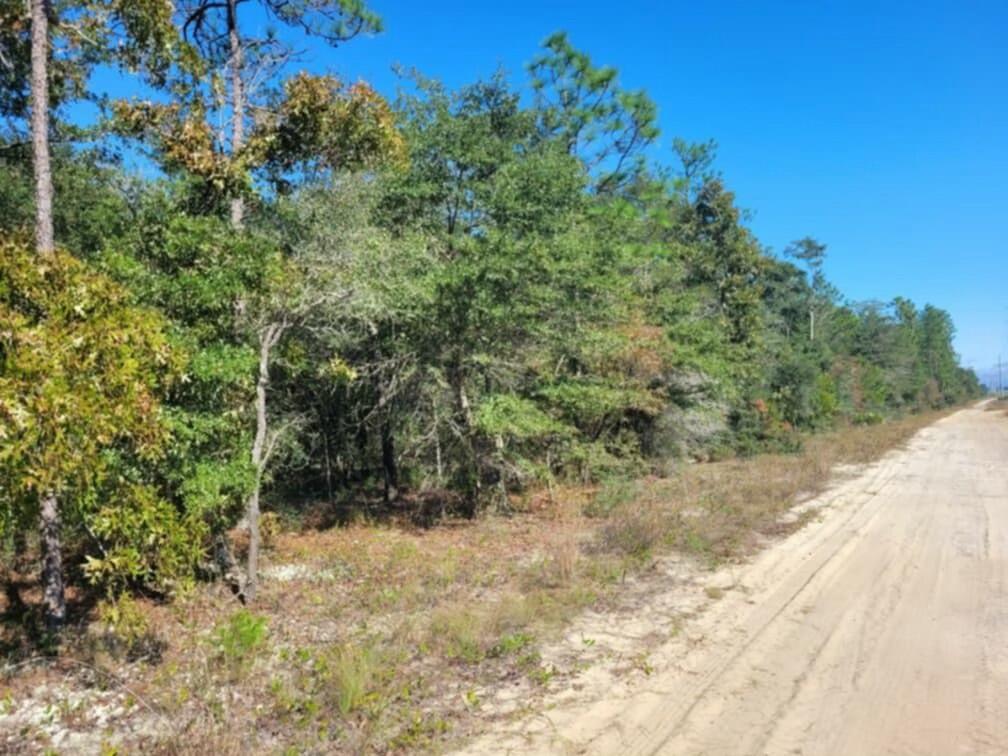 Lot 1 Blk 10 Golden Rod Drive, DeFuniak Springs