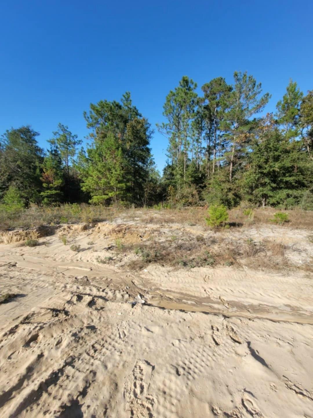 Lot 1 Blk 5 Red Mulberry Lane, DeFuniak Springs