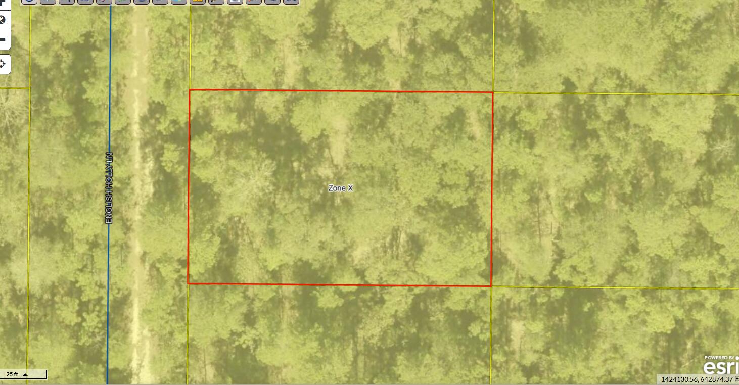 Lot 10 Blk 20 English Holly Lane, DeFuniak Springs