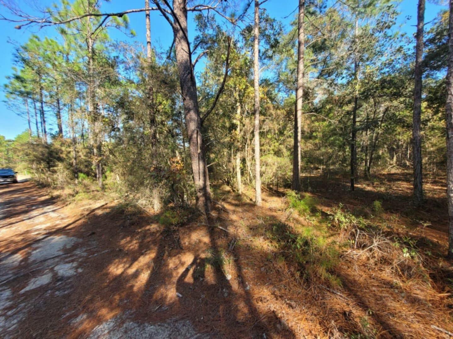 Lot 10 Blk 20 English Holly Lane, DeFuniak Springs
