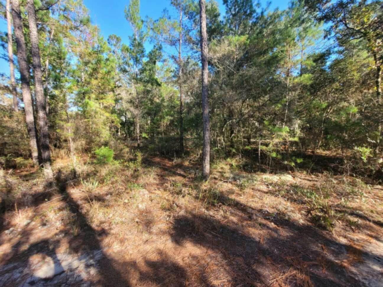 Lot 10 Blk 20 English Holly Lane, DeFuniak Springs