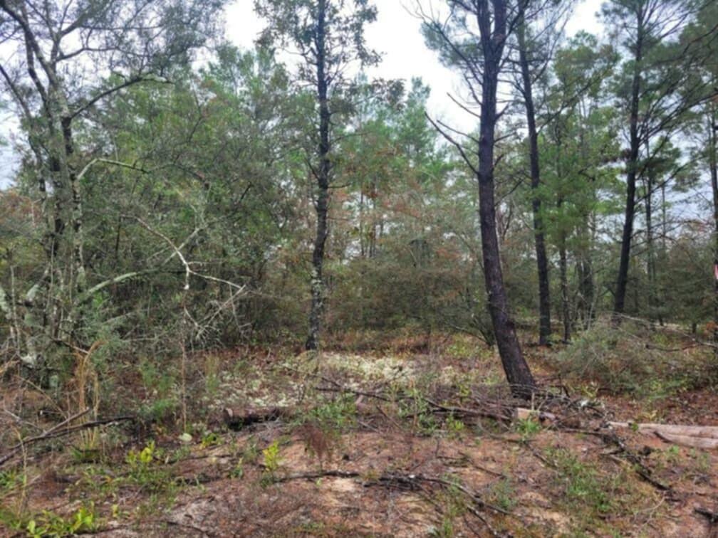 Lot 11 Blk 83 Snapdragon East Street, DeFuniak Springs