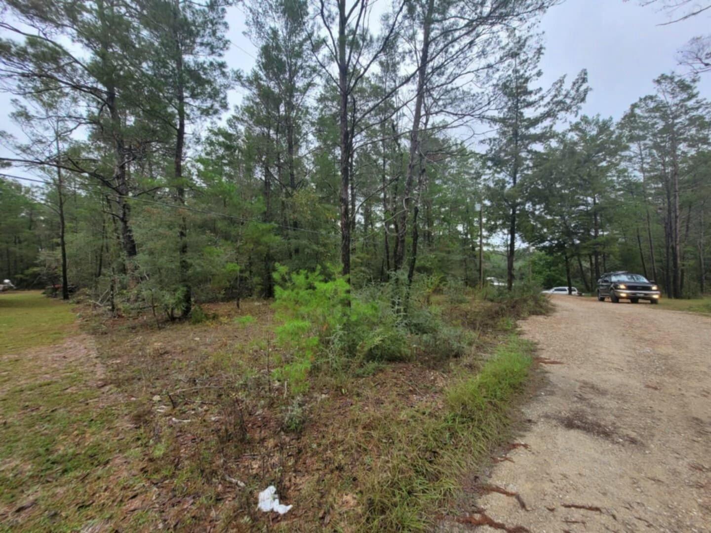 Lot 2 Blk 101 E. Bluebottle Court, DeFuniak Springs