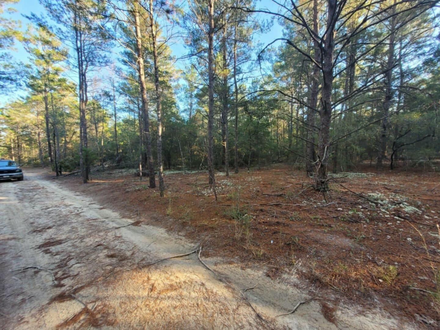 Lot 20 Blk 33 W. Black Cherry Drive, DeFuniak Springs