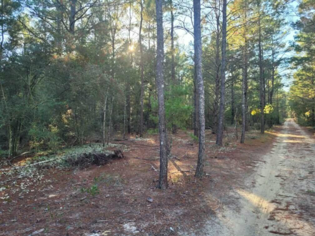 Lot 20 Blk 33 W. Black Cherry Drive, DeFuniak Springs