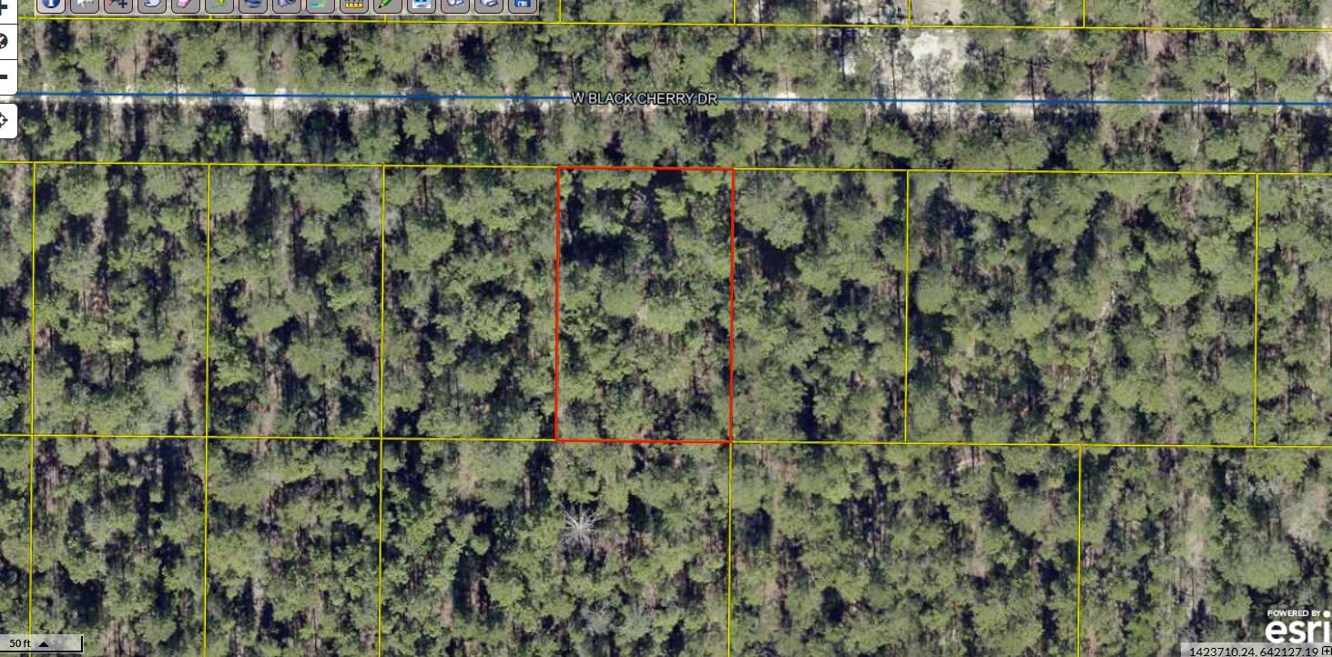 Lot 20 Blk 33 W. Black Cherry Drive, DeFuniak Springs