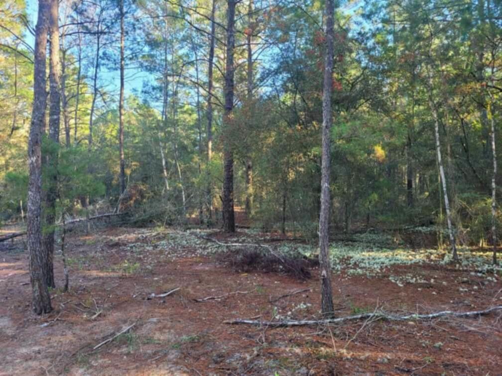 Lot 21 Blk 33 W. Black Cherry Drive, DeFuniak Springs