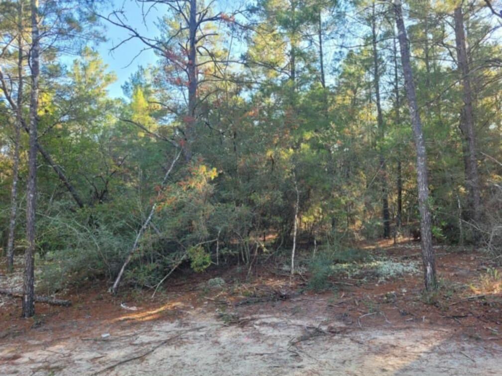Lot 21 Blk 33 W. Black Cherry Drive, DeFuniak Springs