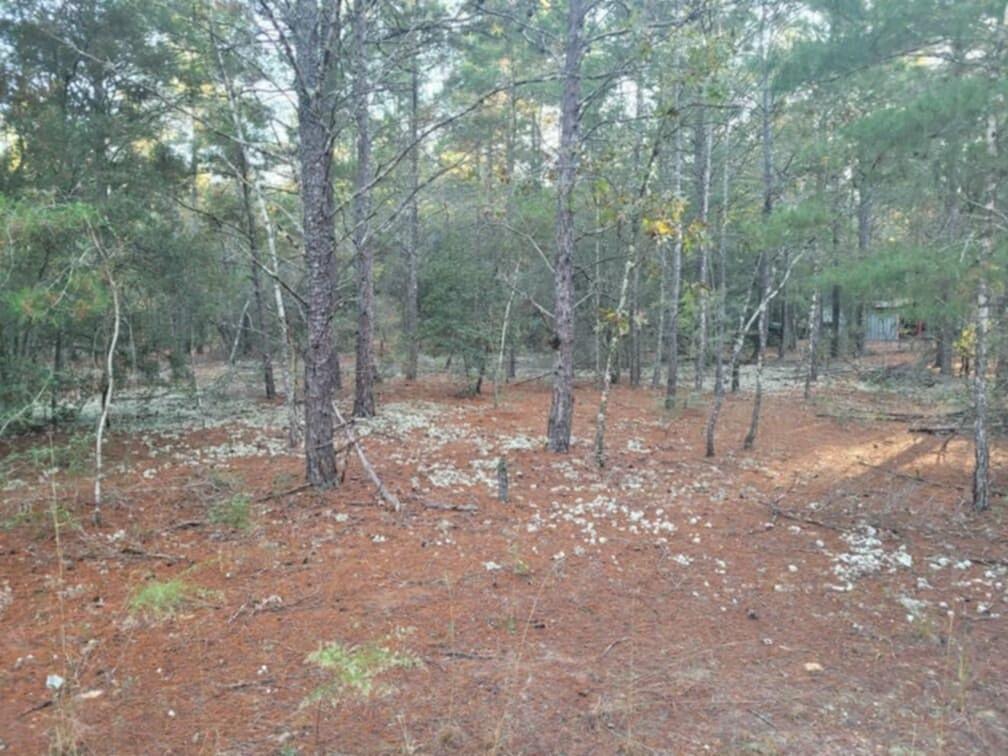 Lot 27 Blk 36 E. Dogwood East Avenue, DeFuniak Springs