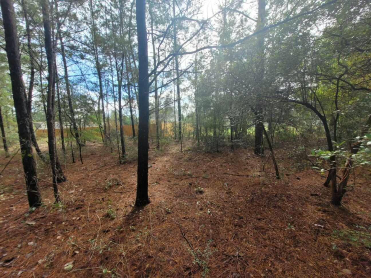 Lot 4 Blk 6 E. Violet Lane, DeFuniak Springs