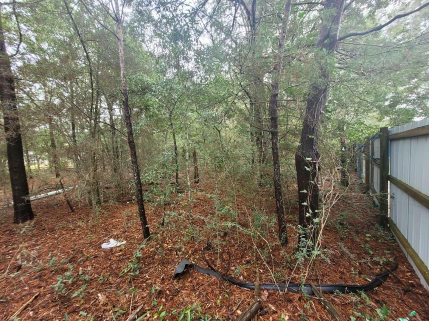 Lot 5 Blk 6 E. Violet Lane, DeFuniak Springs