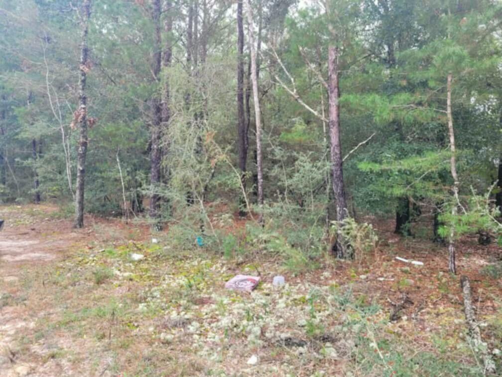 Lot 5 Blk 6 E. Violet Lane, DeFuniak Springs